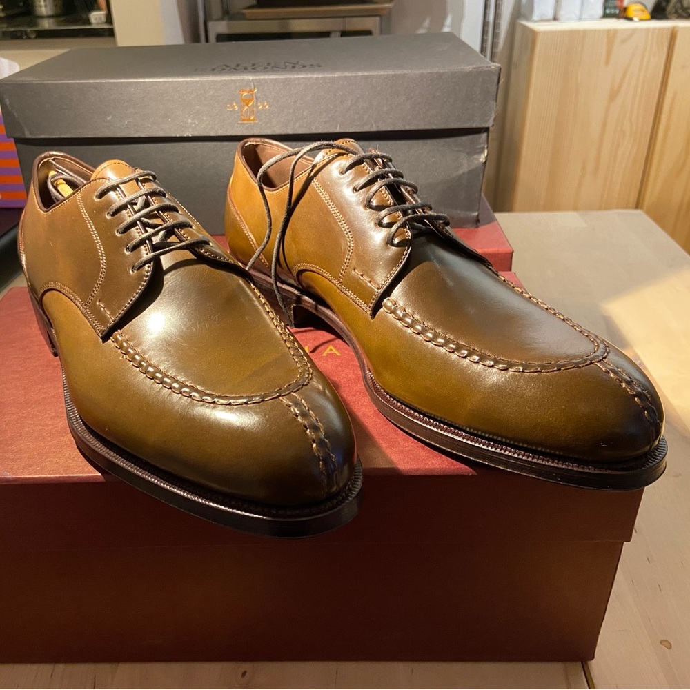 Carmina x GYW 80414 Forest Norwegian (Armagnac color)